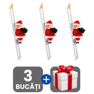 3 bucati
