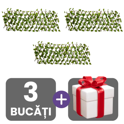 3 bucati