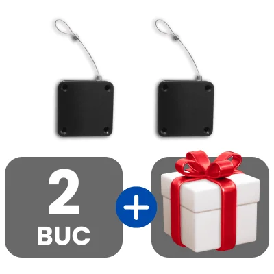 2 bucati