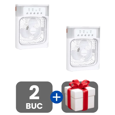 2 bucati