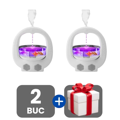 2 bucati