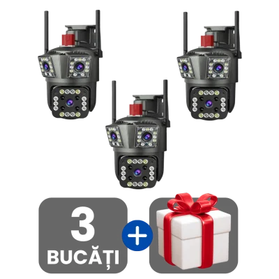3 bucati