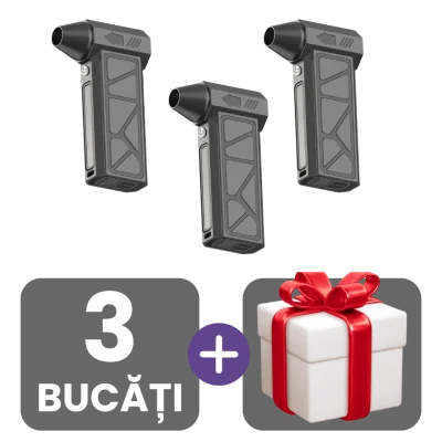 3 bucati