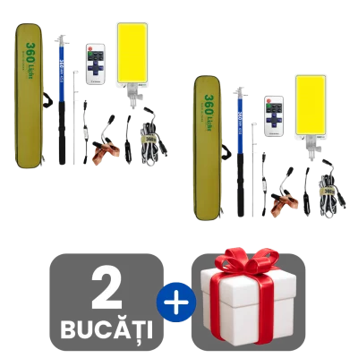 2 bucati