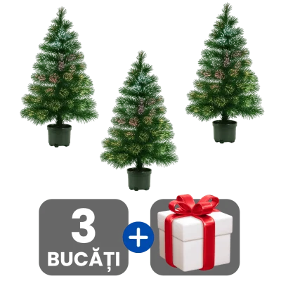 3 bucati