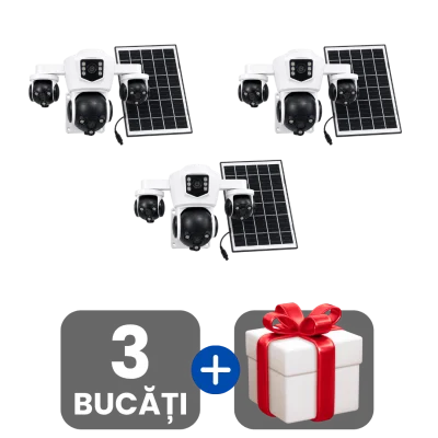 3 bucati