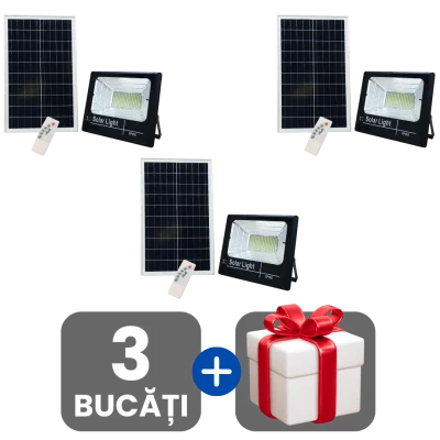 3 bucati
