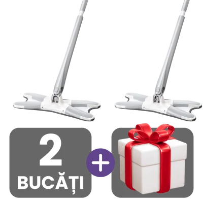 2 bucati