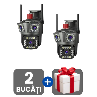2 bucati