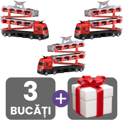 3 bucati