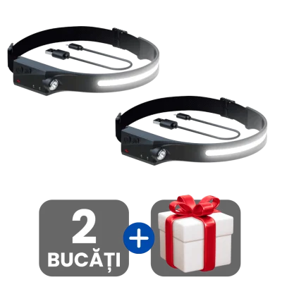 2 bucati