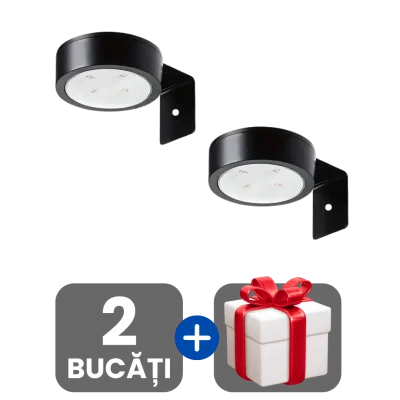 2 bucati