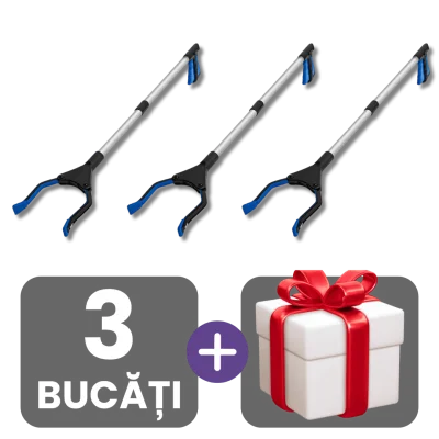 3 bucati