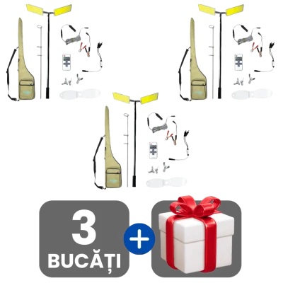 3 bucati