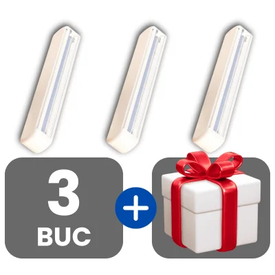 3 bucati