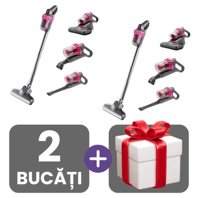 2 bucati