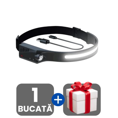1 bucata