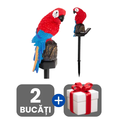1 bucata