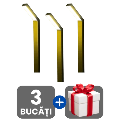 3 bucati