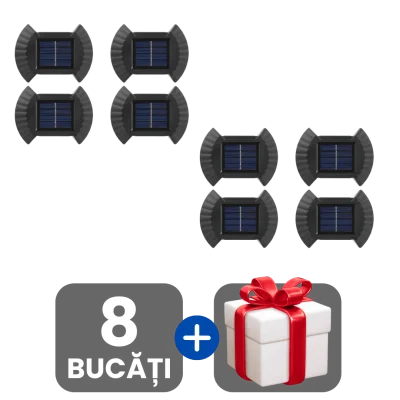 2 bucati