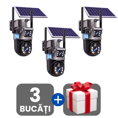 3 bucati