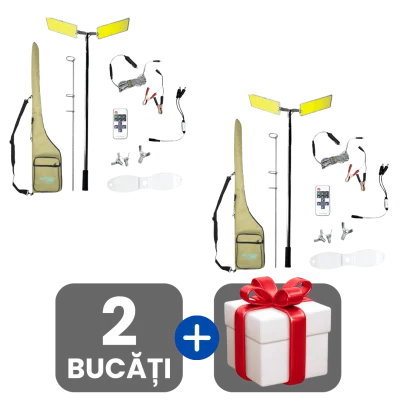 2 bucati