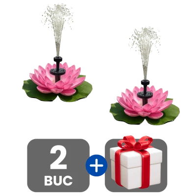 2 bucati