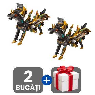 2 bucati