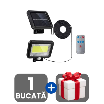 1 bucata
