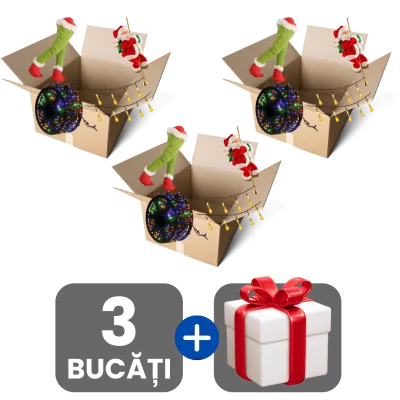 3 bucati