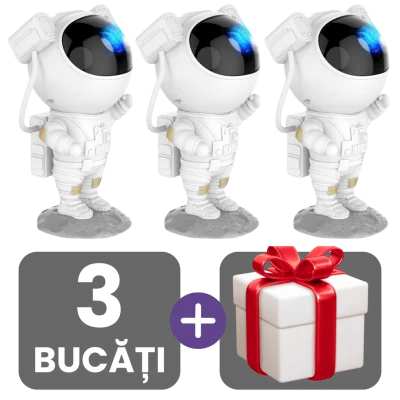 3 bucati