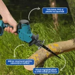 FIERASTRAU ELECTRIC TIP SABIE 2