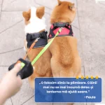 LESA DUBLA CAINI 5