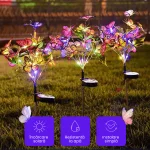 FLUTURI LUMINOSI 1