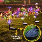 FLUTURI LUMINOSI 2