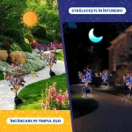 FLUTURI LUMINOSI 4