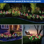 SET 2 FLORI SOLARE 3