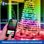 INSTALATIE CU APLICATIE 2