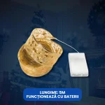 PANGLICA LUMINOASA 7