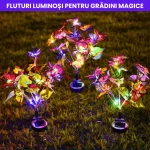 FLUTURI LUMINOSI 5