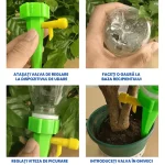 DUZE UDAT PLANTE 3
