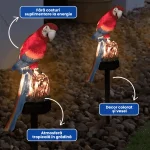 PAPAGALI LED 2
