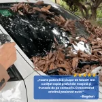 SUFLANTA DE AER 6