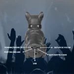BOXA BULLDOG 5