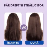 PIEPTAN ELECTRIC FARA FIR 3