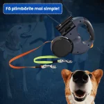 LESA DUBLA CAINI 4