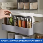 ORGANIZATOR GLISANT CONDIMENTE 3